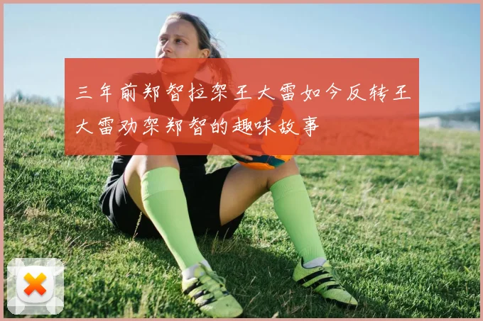 三年前郑智拉架王大雷如今反转王大雷劝架郑智的趣味故事